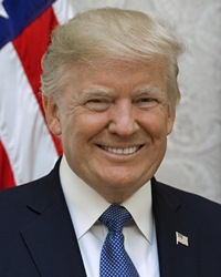 Donald Trump's Portrait
